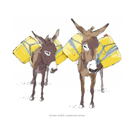 Donkeys with jerry cans - colour (Artist: Shaw, Rod)