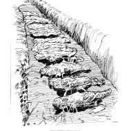 Row-of-dead-bodies v1 (Artist: Shaw, Rod)