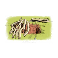 Open pit with logs - colour (Artist: Shaw, Rod)